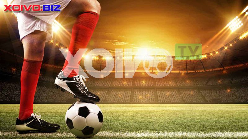 Hé lộ con đường thực sự giúp người chơi cá cược đạt được xếp hạng P3bet - P3bet