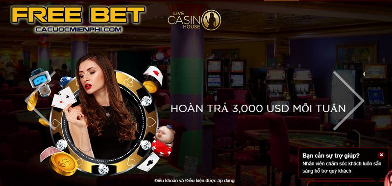 Debet đã triển khai một loạt các hoạt động khuyến mãi vô cùng hấp dẫn - Debet