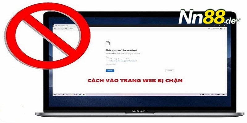 Giải đấu đá gà cấp K8 sử dụng phương tiện công nghệ - K8