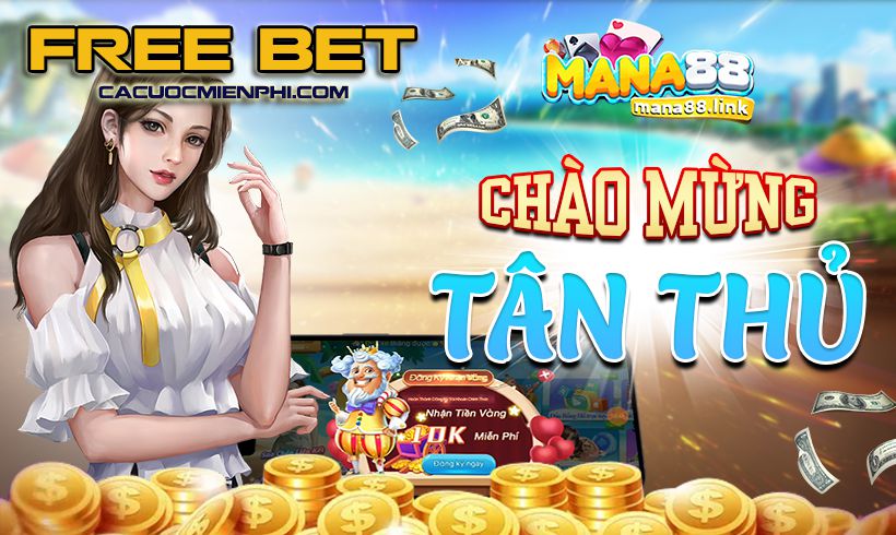 Vaobo88 có nhận định như thế nào về kết quả trận đấu bóng đá Pháp? - Vaobo88