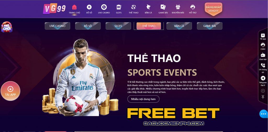 Bancah5 Khám phá những sân chơi xanh tuyệt vời nhất - Bancah5