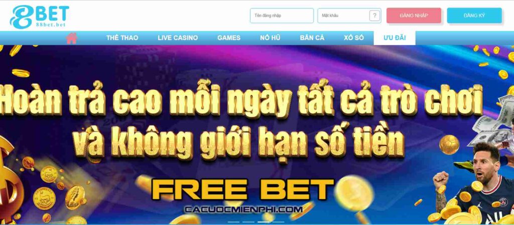 Câu hỏi thường gặp về các trang web chơi game uy tín được xếp hạng 8Day - 8Day