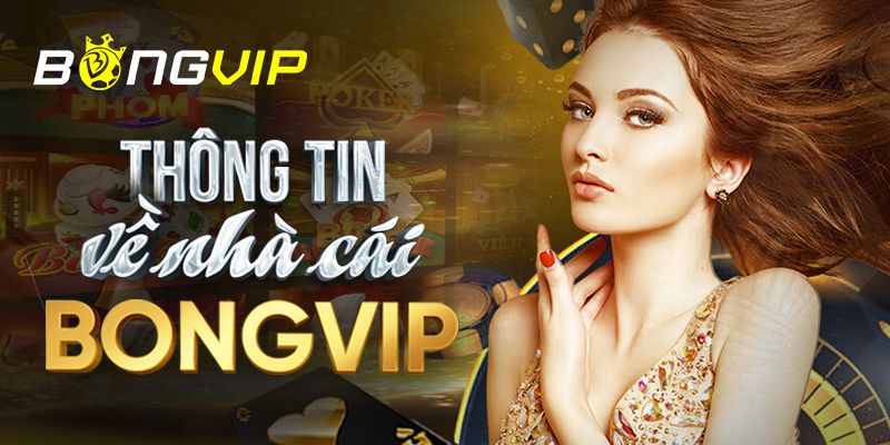 Tại sao nên chọn Subet để xem bóng đá trực tiếp? - Subet