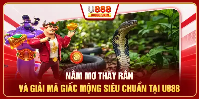Đánh giá đơn đăng ký Hcm66 - Hcm66