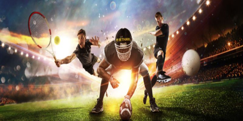 388Bet có vui không? Bạn đang làm gì ở đây vậy? - 388Bet