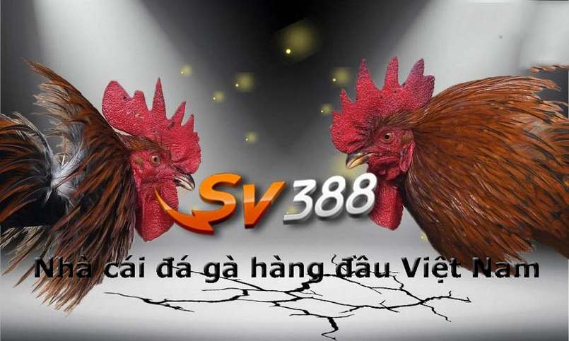 Trải nghiệm chơi game đỉnh cao cùng nhiều tính năng thú vị khác - 777Loc