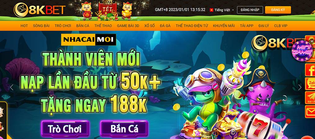 Cá cược thể thao ở cấp độ Shbet - Shbet