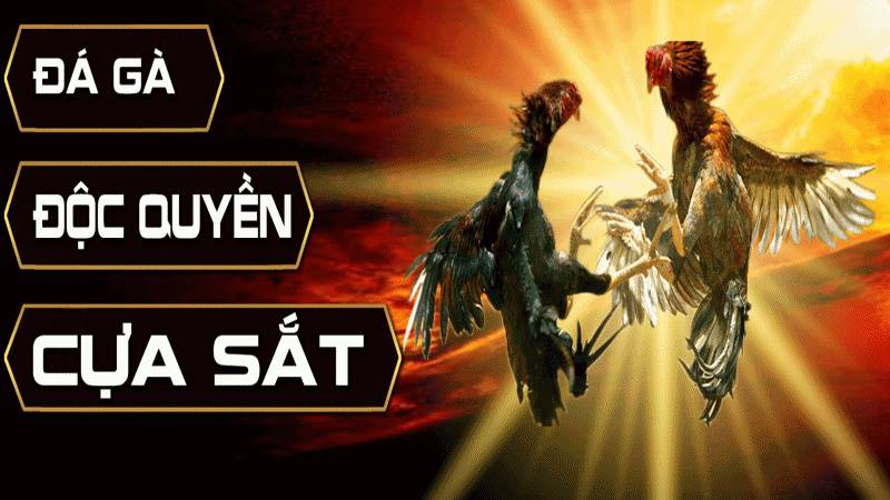 Vì sao giao dịch rút tiền của tôi tại Ngân hàng St666 lại thất bại? - St666