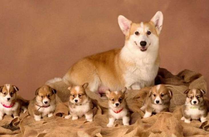 Hướng dẫn đăng ký nhanh Vesovn: Hiểu rõ quyền lợi của bạn - Vesovn