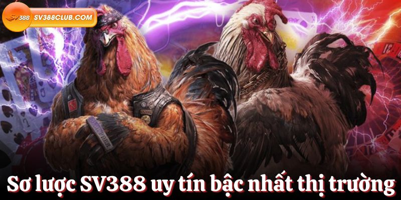 Đăng ký thành viên mới Ds99 - Ds99
