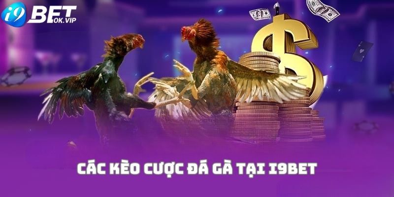 Tải xuống Ricwin Live MOD APK cho Android - Ricwin