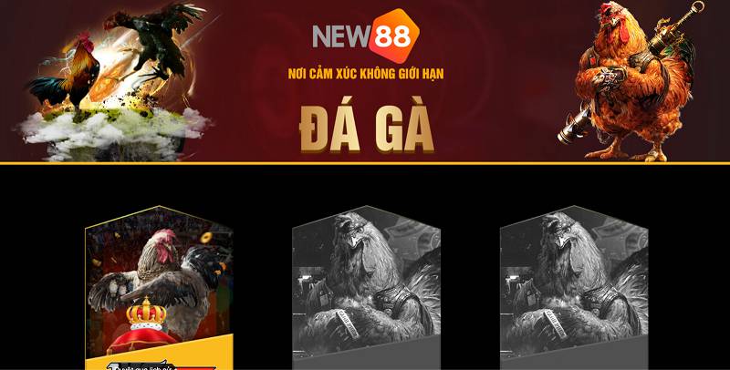 Bài viết của Z8bet rất thú vị - Z8bet