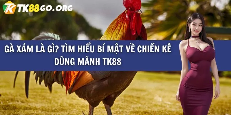 Một trang web chơi game cấp độ Dv88 không cần người đại diện để hoạt động - Dv88