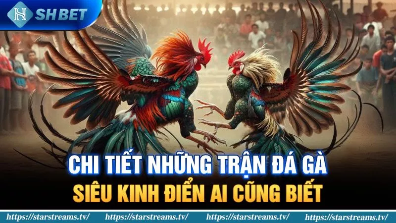 Dưới đây là một số thông tin cơ bản về công ty game uy tín 789P - 789P